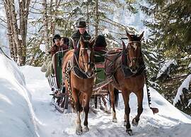 Cosy Chalet With top View