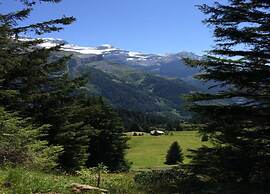 Cosy Chalet With top View