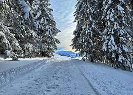 Cosy Chalet With top View