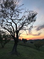 Country House With Pool and AC in Senigallia - the Ginestra