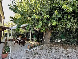 Historic House With Swimming Pool, Barbecue, gym in Senigallia - the G