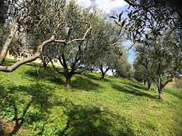 Historic House With Swimming Pool, Barbecue, gym in Senigallia - the G