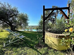 Historic House With Swimming Pool, Barbecue, gym in Senigallia - the G