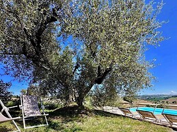 Historic House With Swimming Pool, Barbecue, gym in Senigallia - the G