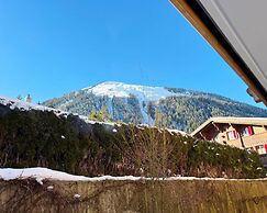 Contemporary Swiss Escape
