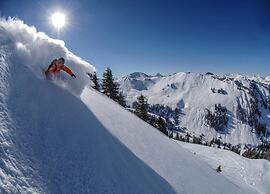 Contemporary Swiss Escape