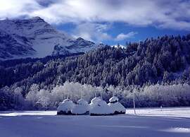 Cosy Chalet With Garden