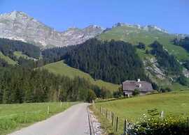 Beautiful Alpine Luxury Flat in Rougemont