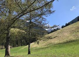 Beautiful Alpine Luxury Flat in Rougemont