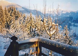 Cosy Chalet With Balcony/terrace