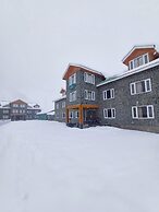 Hotel Mountview Sonamarg