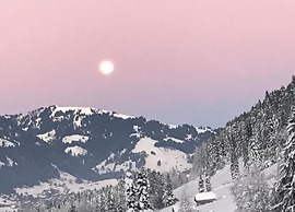 Lush Apartment With Sauna and hot tub