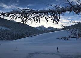 Lush Apartment With Sauna and hot tub