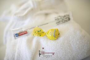 Sunny Suite Nordic Lugano City