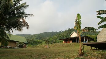 Lodge Hummingbird - Lake Bosomtwe