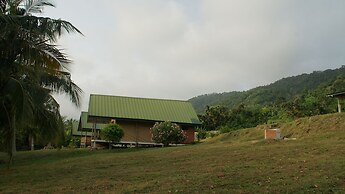 Lodge Hummingbird - Lake Bosomtwe