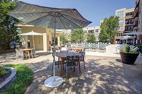 Barsala at The Arboretum