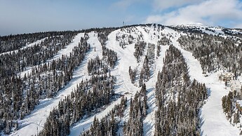 Treetop Getaway Ski In and Out Sleeps 10