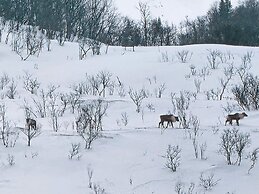 6 Person Holiday Home in Hamnvik