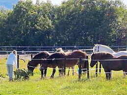 6 Person Holiday Home in Hamnvik