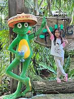 The Frog Khaoyai