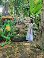 The Frog Khaoyai