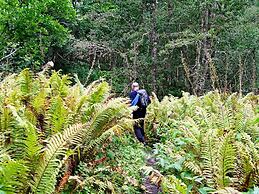 6 Person Holiday Home in Ovre Ardal