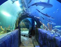 Nice Apartment With Terrace