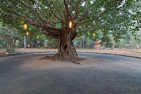 Spree Maati Jungle Resort