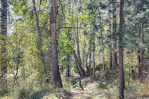 Mtn-view Stevensville Cottage: Hike, Fish, Explore