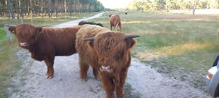 Cozy Villa w/ Sauna and BBQ