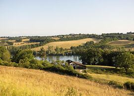 Holiday Home in Peyrusse Grande