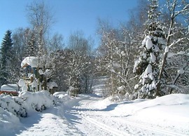 Wooden Holiday Home Near ski Resort