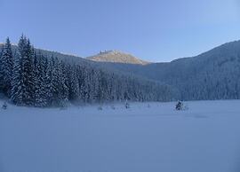 Wooden Holiday Home Near ski Resort