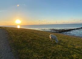 Spacious Bungalow Near the Frisian Lakes