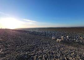 Spacious Bungalow Near the Frisian Lakes