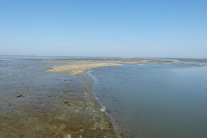 Chalet in Ternaard Near Heritage Site