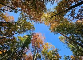 Exquisite Ferienwohnung in Rechlin