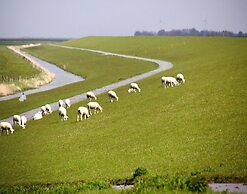 Ferienhaus Albatros in Nessmersiel