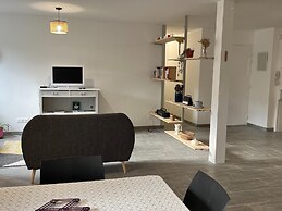 Renovated Apartment in the Centre of Sedan