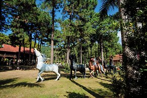 Bai Tu Long Mountain Resort