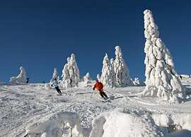 Cosy Apartment in Arrach With Garden