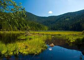 Cosy Apartment in Arrach With Garden