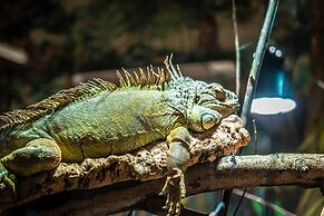 Apartement in Weissenhhuser Strand