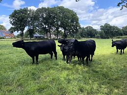 Ferienwohnungen in Strackholt