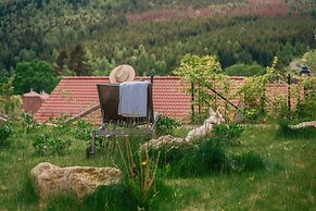 Holiday Home in Schierke With Garden