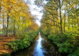 Spacious Bungalow Near the Frisian Lakes