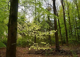Spacious Bungalow Near the Frisian Lakes