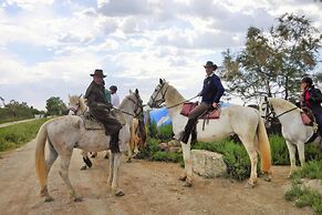 Single Storey Holiday Home With Swimming Pool