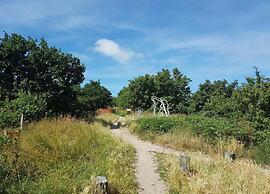 Relax Cozy Dirkshorn Stay